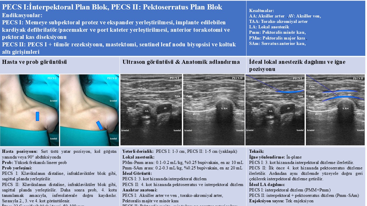 PECS Bloklar